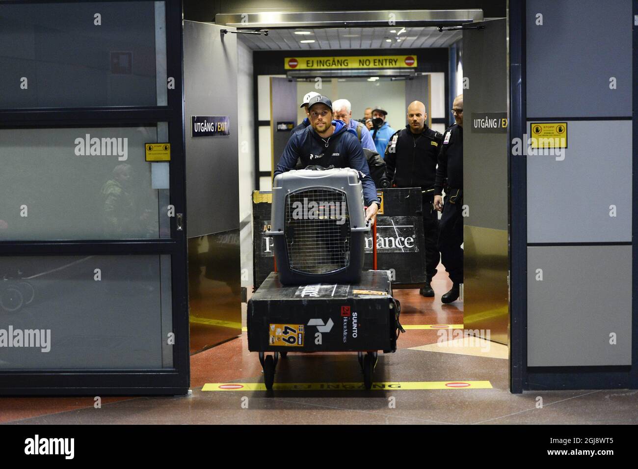 STOCCOLMA 2014-11-20 il cane randagio ecuadoriano di sette anni Arthur è visto all'arrivo all'aeroporto di Arlanda a Stoccolma, Svezia 13 novembre 2014. Arthur e la squadra svedese Multi Sport si sono incontrati durante una pausa pranzo in un piccolo villaggio in Ecuador. Il membro del team Michael Lindnord gli ha dato un meatball e dopo di che sono diventati inseparabili. Arthur seguì la squadra ovunque per il resto della gara multi-sport e Michael prese anche Arthur con lui nella sua canoa. Michael Lindnord ha deciso di adottare Arthur e il cane ora vivrà il resto della sua vita in Svezia. Foto: Maja Suslin / TT / Kod 10300 Foto Stock