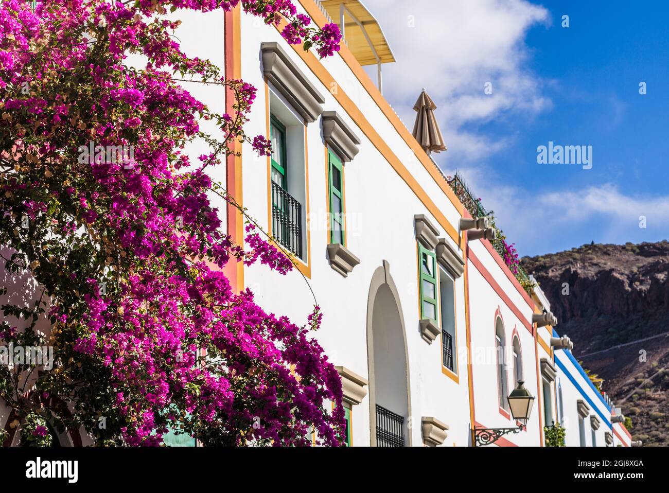 Spagna, Isole Canarie, Gran Canaria, Puerto de Puerto de Mogan, fiori Foto Stock