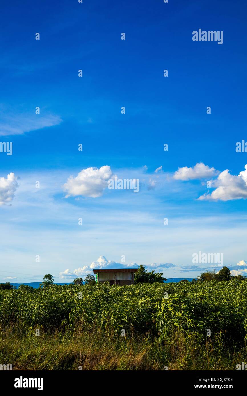 Bellissimo cielo blu con nuvole bianche, concetto di sfondo naturale. Foto Stock
