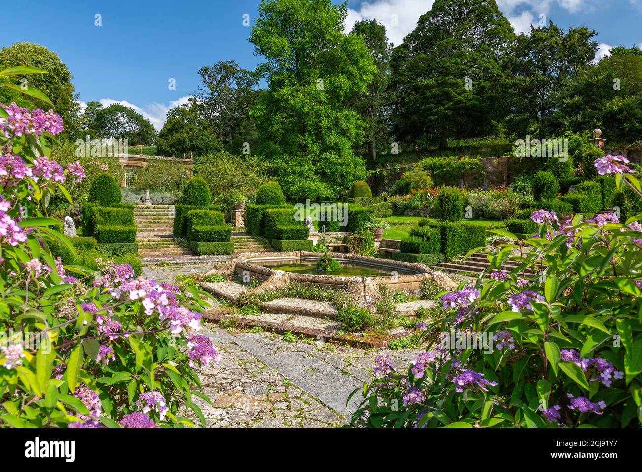 I confini colorati e topiary nel giardino italianate Fountain Court a Mapperton House, Dorset, Inghilterra, Regno Unito Foto Stock