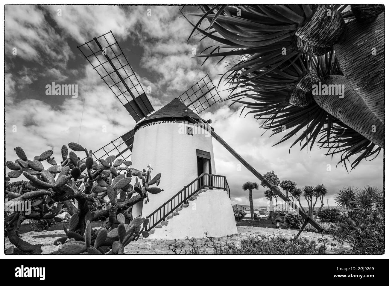 Spagna Isole Canarie Fuerteventura Island, Antigua, tradizionale island windmill Foto Stock