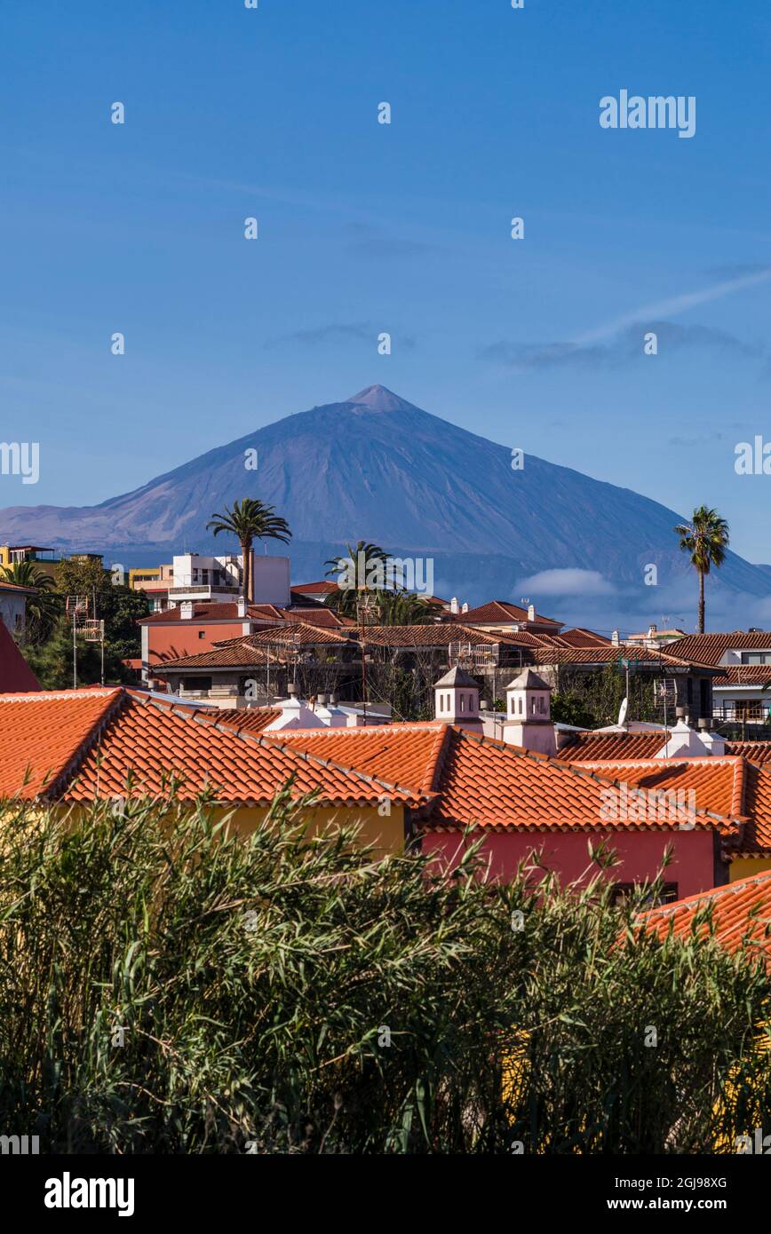Spagna Isole Canarie Tenerife Island, Tacoronte, la vista della città e di El Teide Mountain Foto Stock