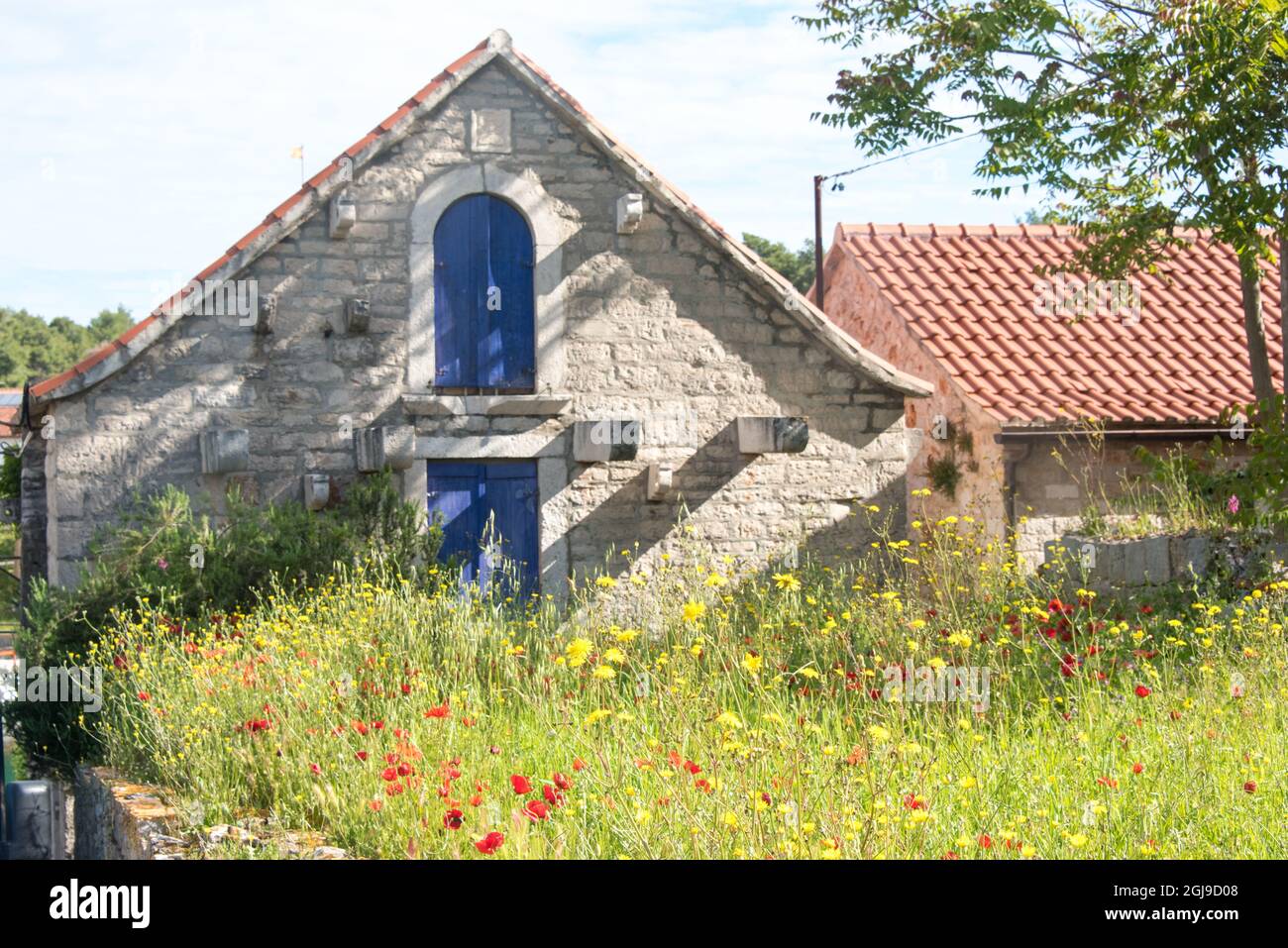 Europa, Croazia, Vrboska. Affascinante casa in pietra, campo di papaveri e fiori selvatici Foto Stock