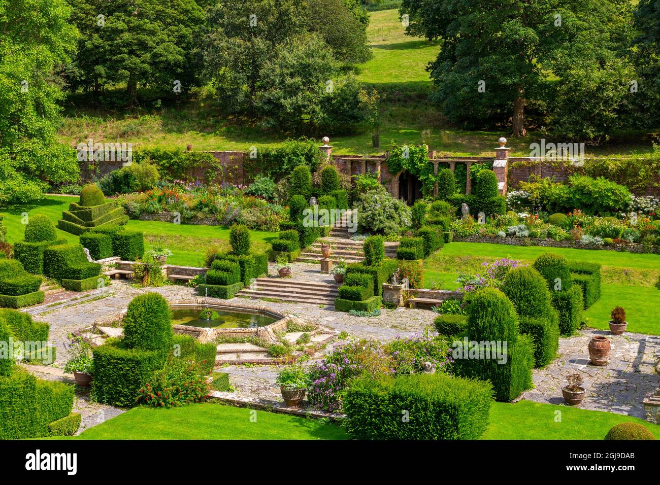 I confini colorati e topiary nel giardino italianate Fountain Court a Mapperton House, Dorset, Inghilterra, Regno Unito Foto Stock