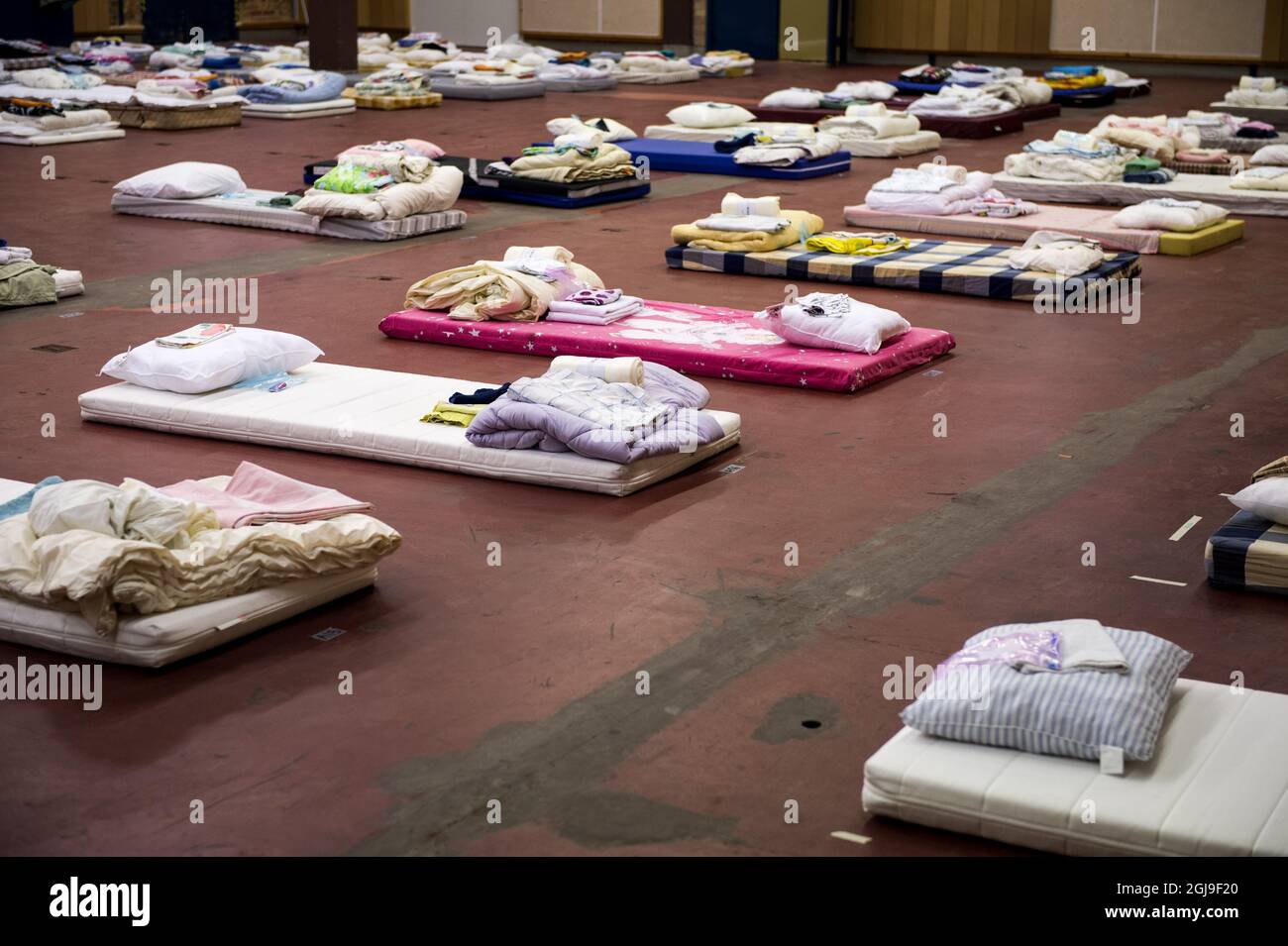 I materassi SUNDBYBERG 2015-10-07 sono visti in un centro di accoglienza per i rifugiati a Sundbyberg, Stoccolma del Nord, Svezia 8 ottobre 2015. Foto: Pontus Lundahl / TT / kod 10050 Foto Stock
