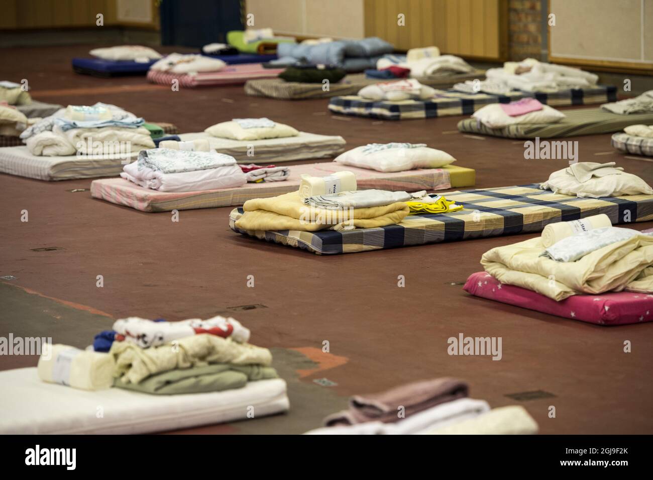 I materassi SUNDBYBERG 2015-10-07 sono visti in un centro di accoglienza per i rifugiati a Sundbyberg, Stoccolma del Nord, Svezia 8 ottobre 2015. Foto: Pontus Lundahl / TT / kod 10050 Foto Stock