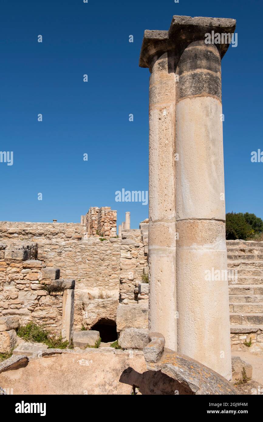 Cipro, Limassol, alias Lemesos. Kourion, antiche rovine del Santuario di Apollo Hylates, noto anche come Apollon Hylatis. Foto Stock