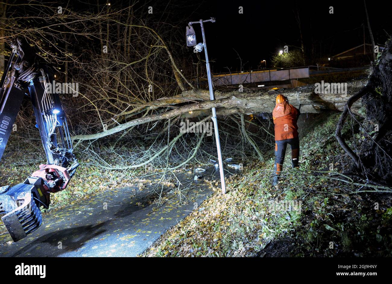 Lavoratori pulizia alberi su una strada a Helsingborg Svezia meridionale ieri notte Domenica 29 novembre 2015 a causa di venti alti Foto: Johan Nilsson / TT / Kod 500 . Foto Stock