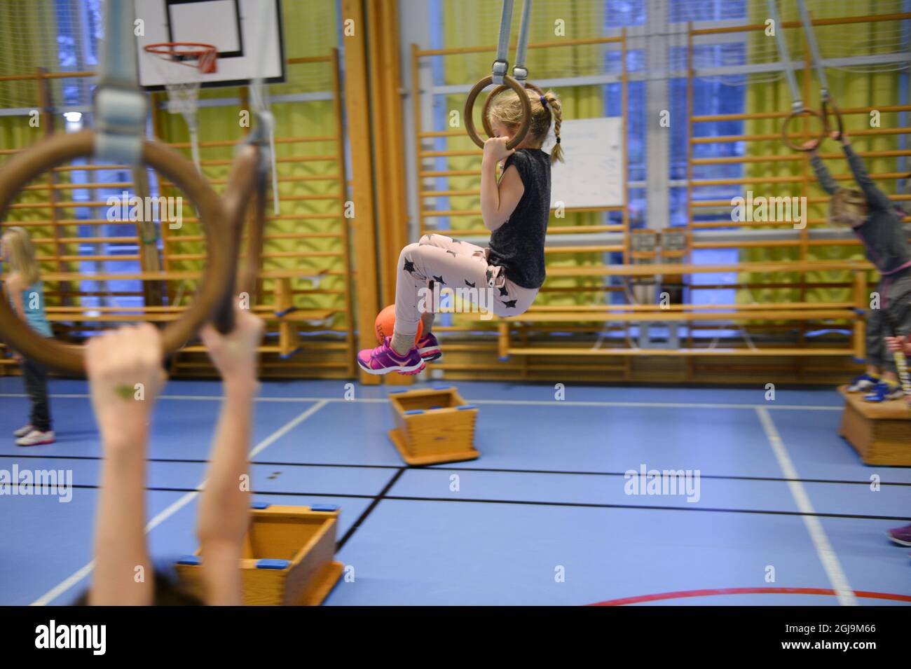STOCCOLMA 2015-11-25 Scuola ginnastica, gli anelli, anelli fissi, ancora anello Foto: Anders Wiklund / TT / kod 10040 scuola, bambini studenti, salute, sport Foto Stock