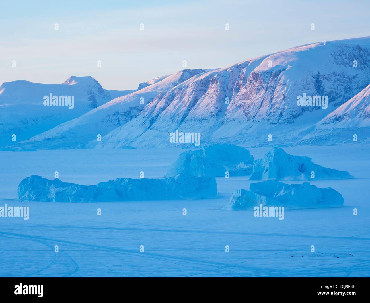 Squadra di cani da slitta durante l'inverno a Uummannaq in Groenlandia. Le squadre di cani sono animali da traino per i pescatori e rimanere tutto l'inverno sul ghiaccio marino del fjor Foto Stock