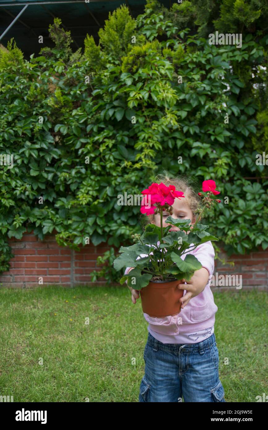 Bambina organizza geranio rosso pentole nel loro giardino. Fuoco selettivo Fiore Foto Stock