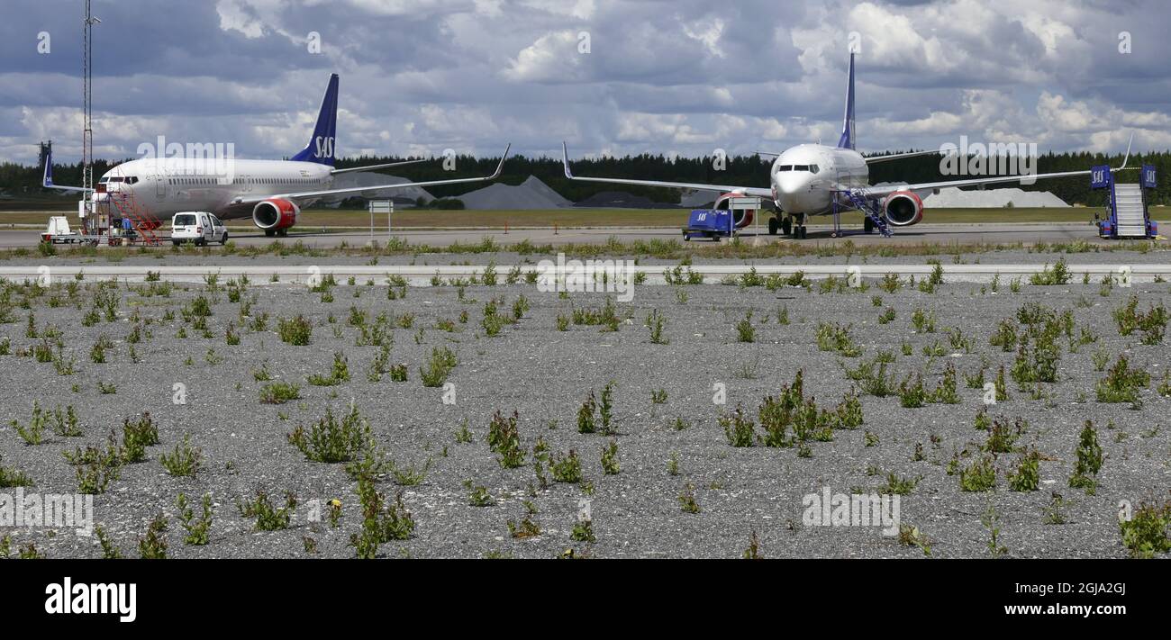 ARLANDA 2016-06-13 SAS Boeing 737 Aircraft Egil e Kristina Viking parcheggiati presso uno stand remoto all'aeroporto di Arlanda a nord di Stoccolma, Svezia, 13 giugno 2016. SAS ha annullato 230 voli dall'aeroporto di Stoccolma Arlanda lunedì, interessando 27000 passeggeri in seguito allo sciopero del pilota in corso. 240 voli verranno cancellati martedì. 400 piloti SAS con sede all'aeroporto Arlanda di Stoccolma sono andati in sciopero venerdì per disputa su scala di pagamento. Foto: Johan Nilsson / TT / ** SVEZIA FUORI ** Foto Stock