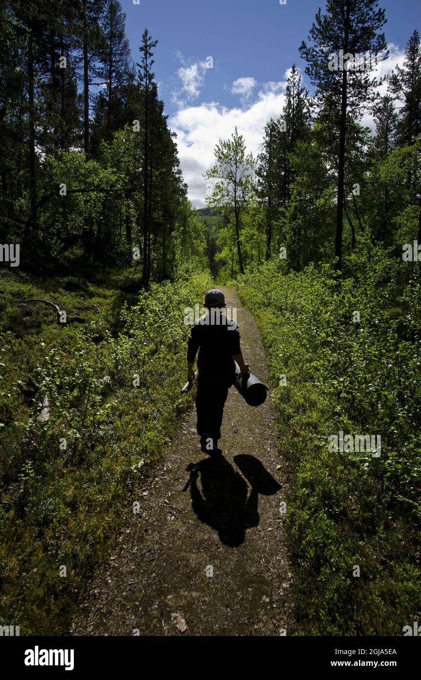 ARJEPLOG 20120703 Pojke gar pa stig i skogen. MODELLO RILASCIATO Foto: Magnus Eriksson / TT Kod 11389 Foto Stock