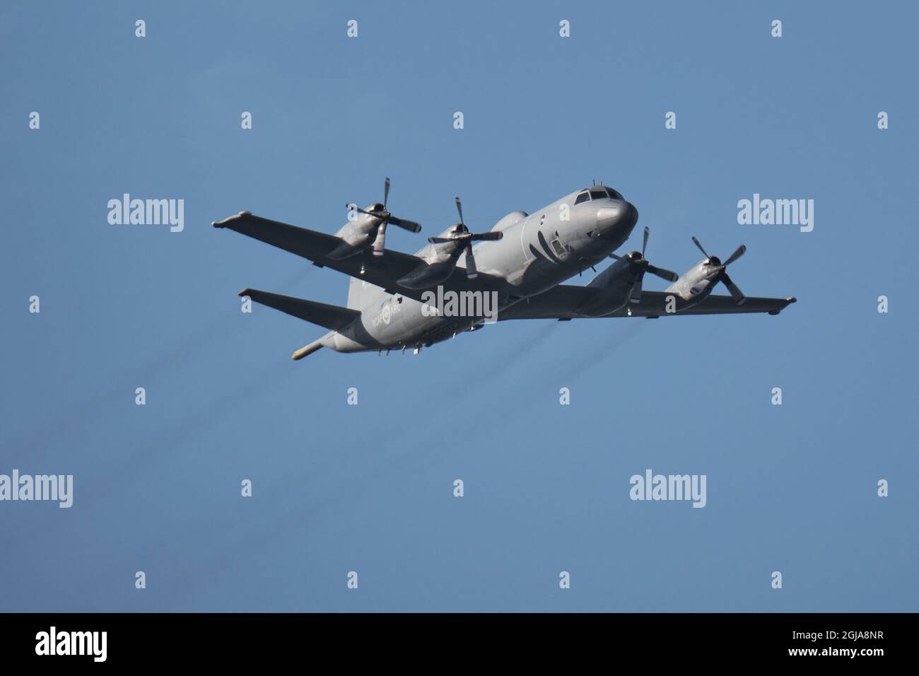 Cutlass Fury 2021 esercizio di formazione, un CP-140 Aurora , un velivolo di pattuglia marittima gestito dalla Royal Canadian Air Force si unisce all'esercizio Foto Stock