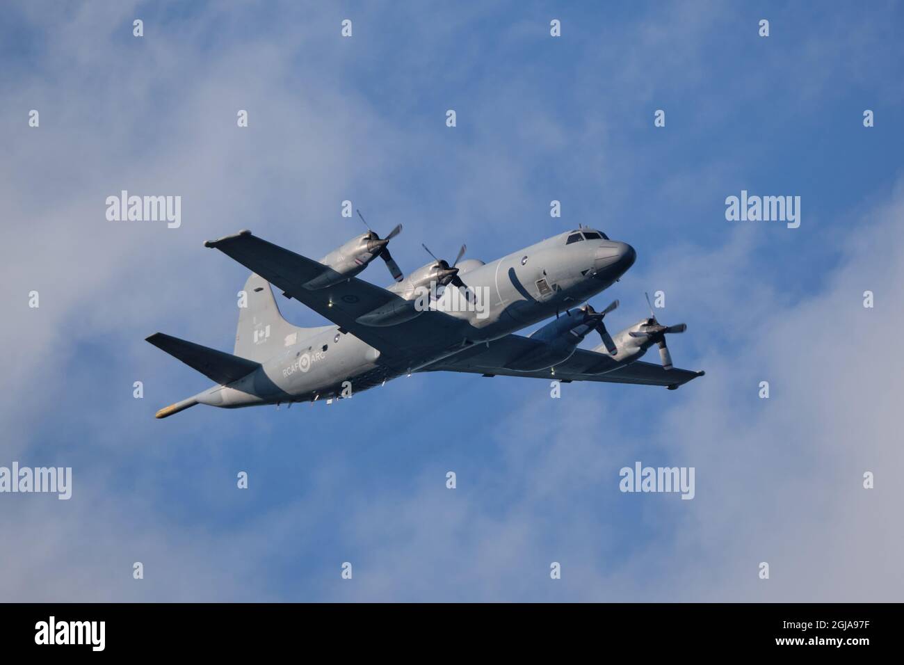 Cutlass Fury 2021 esercizio di formazione, un CP-140 Aurora , un velivolo di pattuglia marittima gestito dalla Royal Canadian Air Force si unisce all'esercizio Foto Stock