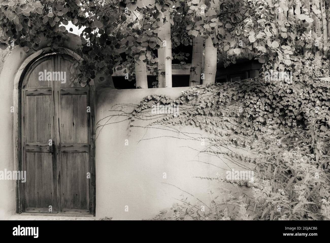 Porta intagliata a mano e pareti in Adobe, Taos, New Mexico, USA Foto Stock