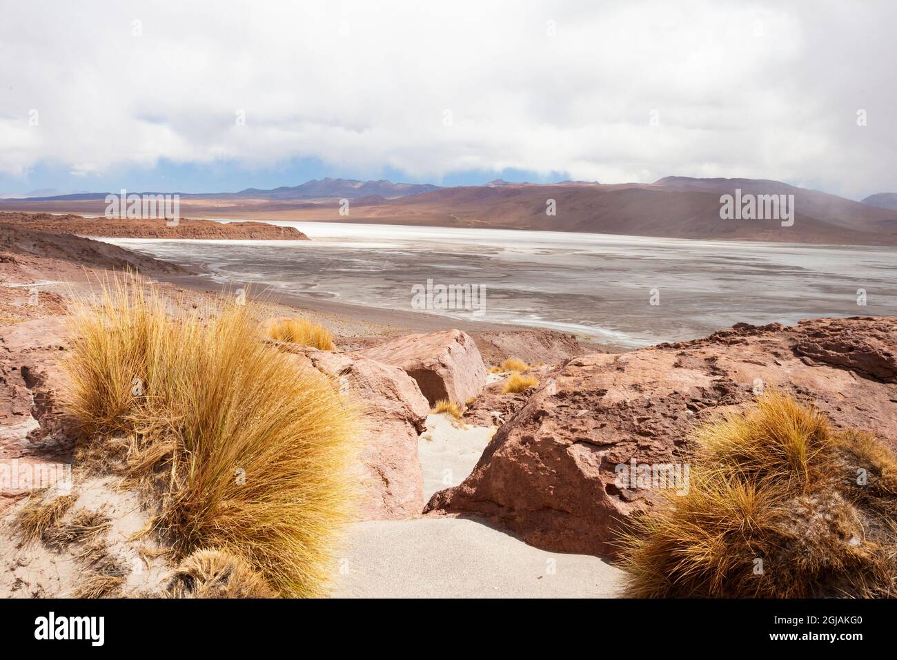 Cile, deserto di Atacama, Riserva Nazionale Los Flamencos. Vista dell'enorme riserva. Foto Stock