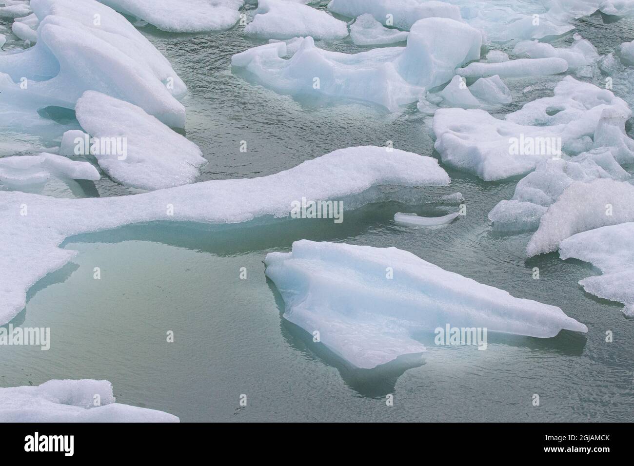 Come il ghiacciaio Serrano nel Parco Nazionale Bernardo o'Higgins in Cile, questi piccoli iceberg si accumulano sotto il ghiacciaio. Foto Stock