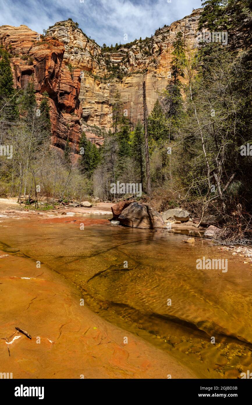 West Fork di Oak Creek nella Coconino National Forest vicino a Sedona, Arizona, Stati Uniti. Foto Stock