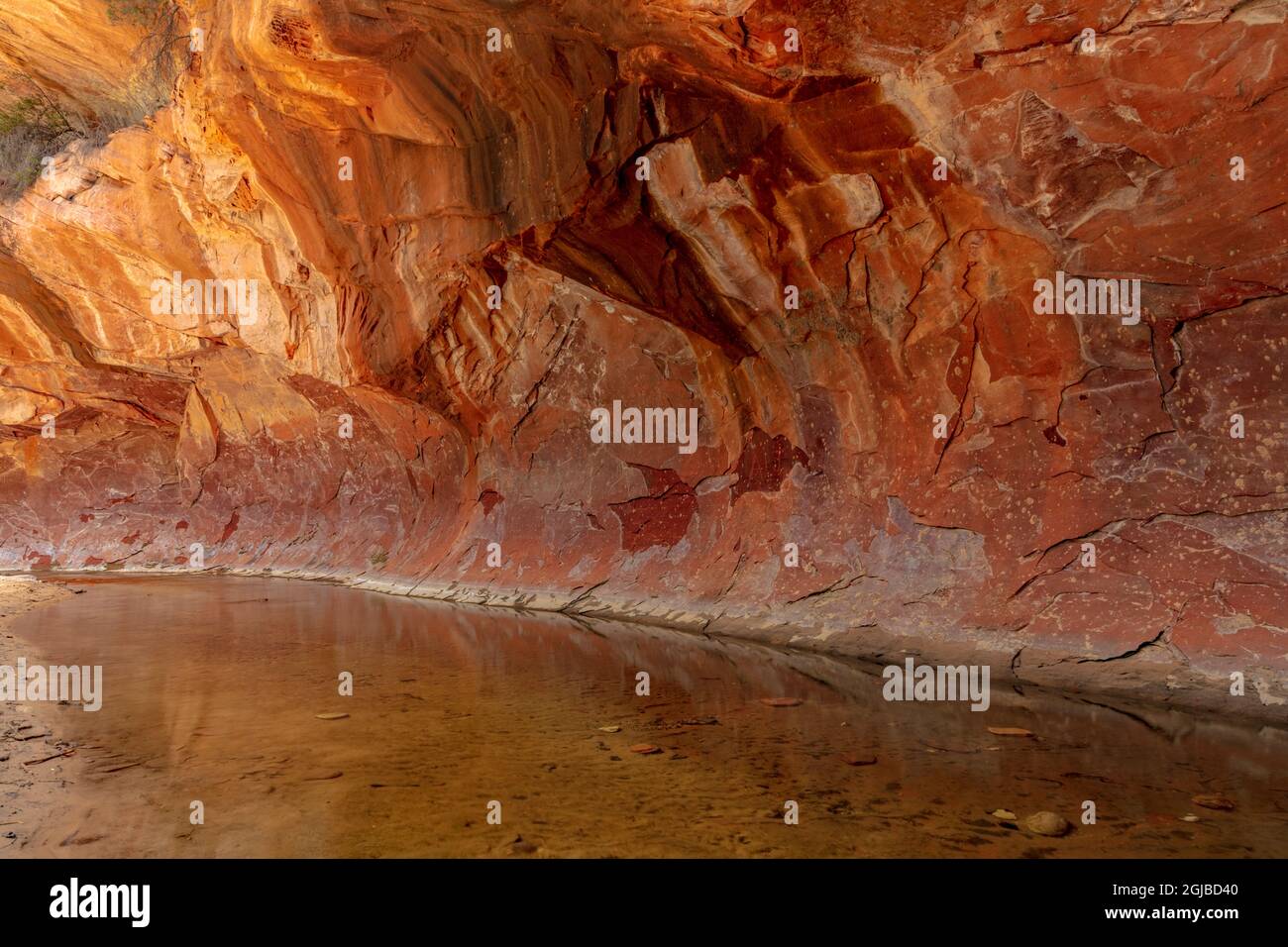 West Fork di Oak Creek nella Coconino National Forest vicino a Sedona, Arizona, Stati Uniti. Foto Stock