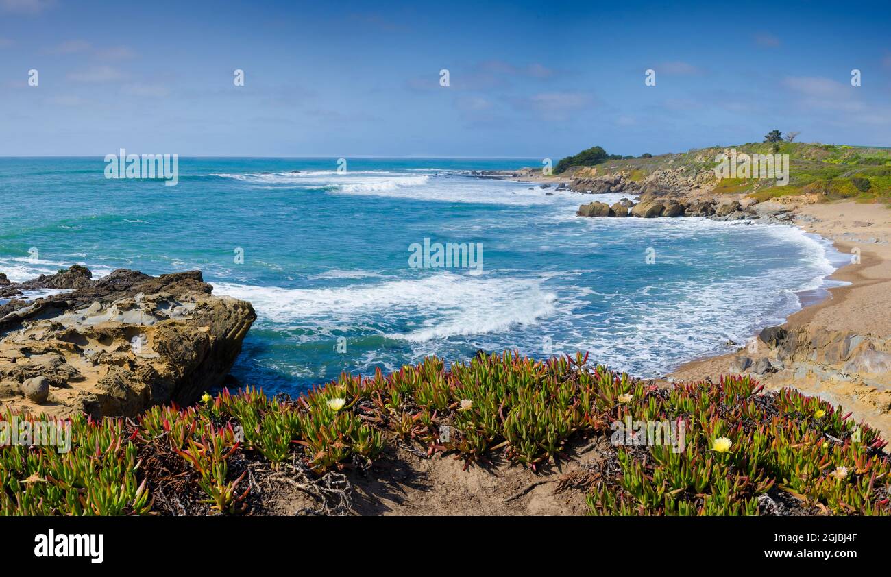 Spiaggia, Riserva Marina di Fitzgerald, California, Stati Uniti Foto Stock