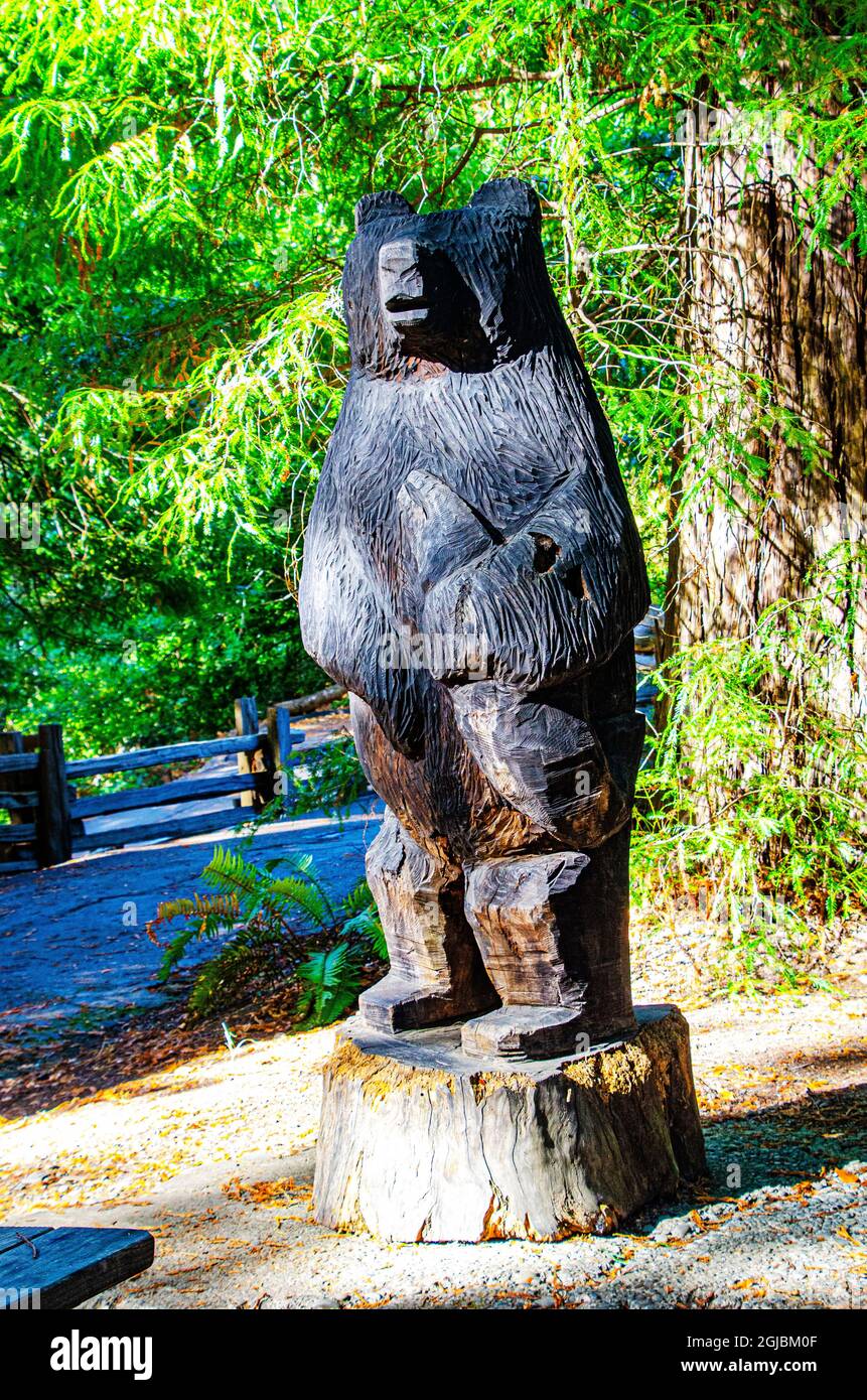 USA, California. Humboldt Redwoods state Park, scultura in orso Foto Stock