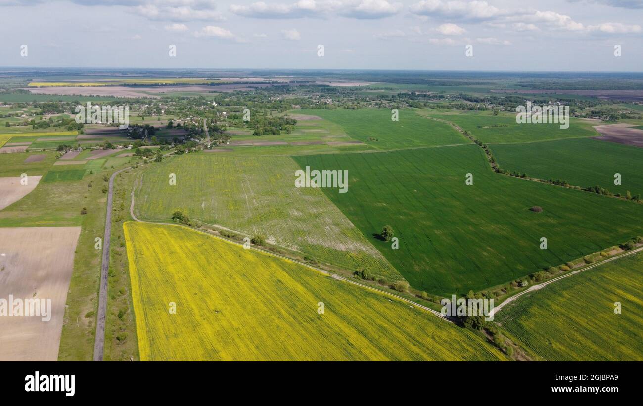 Colorati campi agricoli intorno ad un piccolo villaggio, vista aerea. Foto Stock