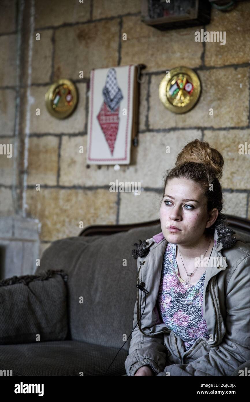 16 anni palestinesi hanno accusato Tamimi che ha guadagnato fama mondiale schiaffando un soldato israeliano ed è stato condannato a otto mesi in prigione, nella sua casa nel villaggio Nabi Saleh sulla Cisgiordania, 7 febbraio 2019 Foto: EVA Tedesjo / DN / TT/ Kod: 3504 Foto Stock