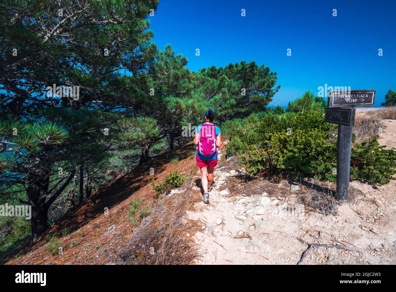 Escursionista sul Torrey Pines Trail, Santa Rosa Island, Channel Islands National Park, California, USA. Foto Stock