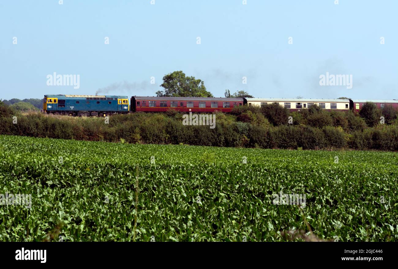 Treno diesel sulla Battlefield Line, Shenton, Leicestershire, Regno Unito Foto Stock