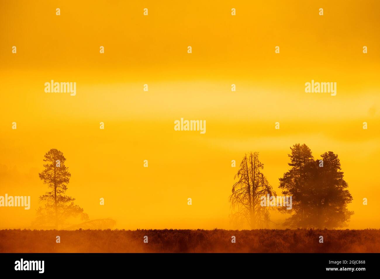 Alba del mattino con alberi e fiume sotto il cielo blu e la nebbia incandescente Foto Stock