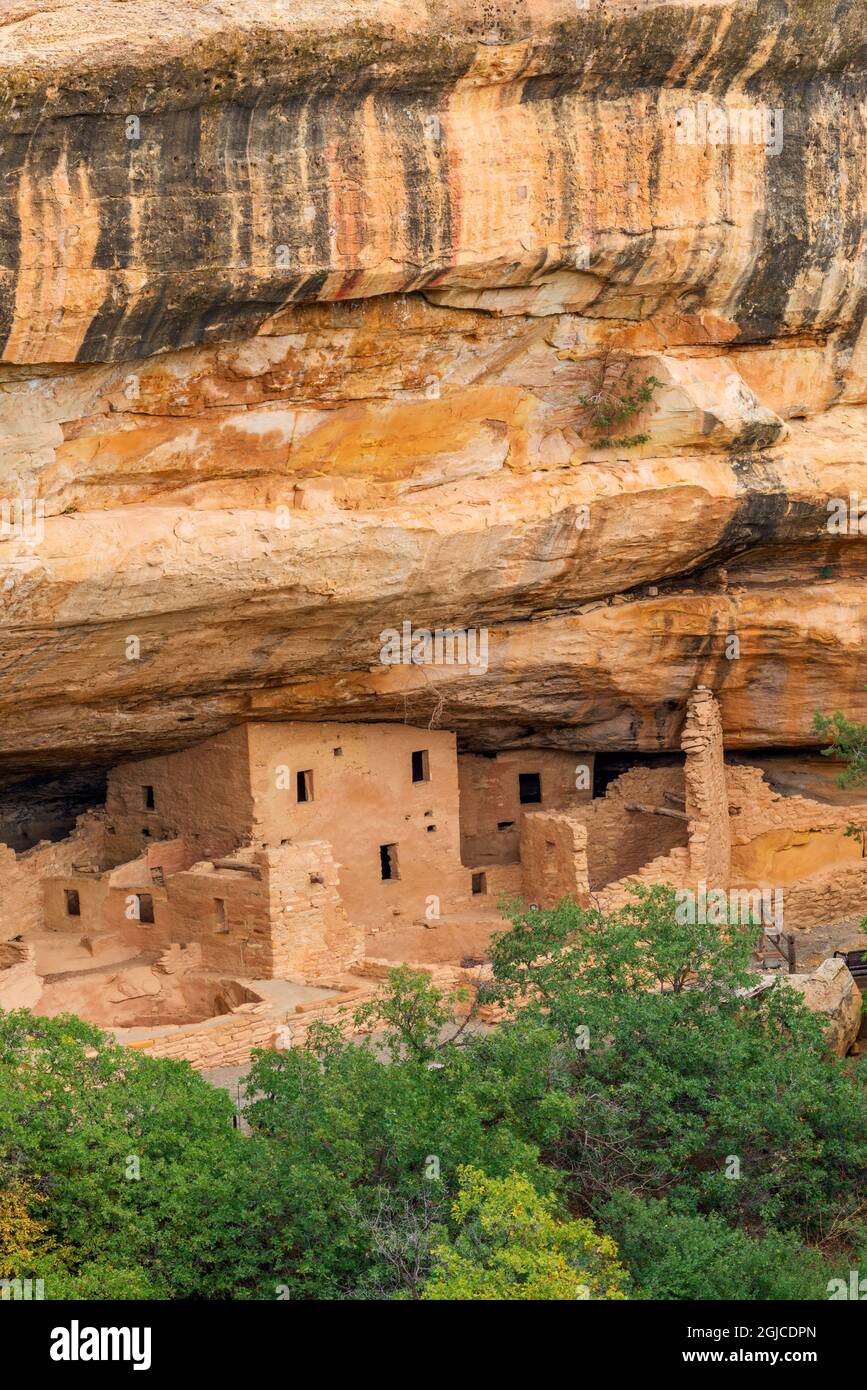 USA, Colorado, Parco Nazionale di Mesa Verde. Abeti House rovine, è stato costruito da Puebloans ancestrale tra il 1211 e 1278 CE. La dimora contai Foto Stock