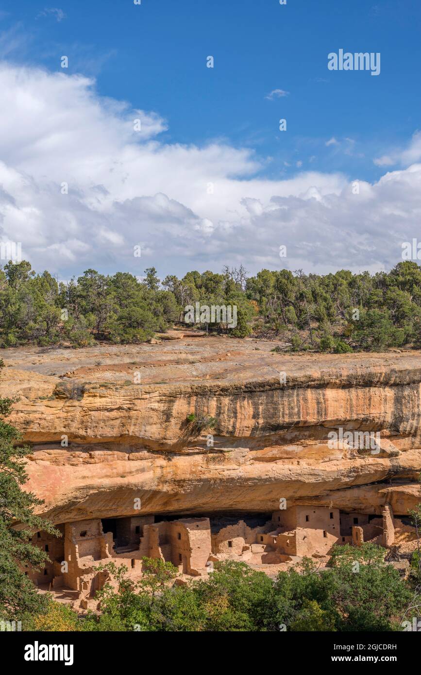 USA, Colorado, Parco Nazionale di Mesa Verde. Abeti House rovine, è stato costruito da Puebloans ancestrale tra il 1211 e 1278 CE. La dimora contai Foto Stock