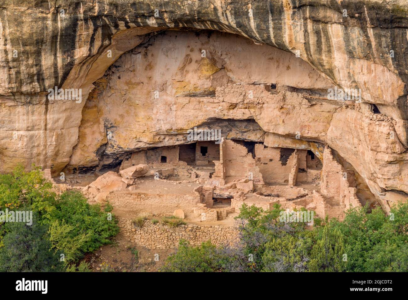 USA, Colorado, Parco Nazionale di Mesa Verde, resti di scogliera a Chapin Mesa costruita dai Puebloans ancestrali e occupata dal 600 al 1300 d.C. Foto Stock