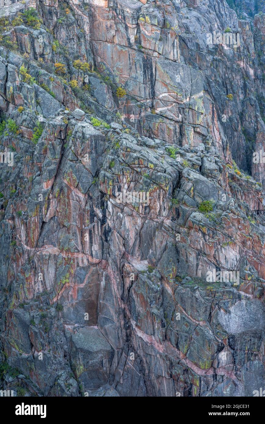 USA, Colorado, Black Canyon del Parco Nazionale di Gunnison, parete metamorfica erosa con fasce più leggere (intrusioni); Painted Wall View. Foto Stock