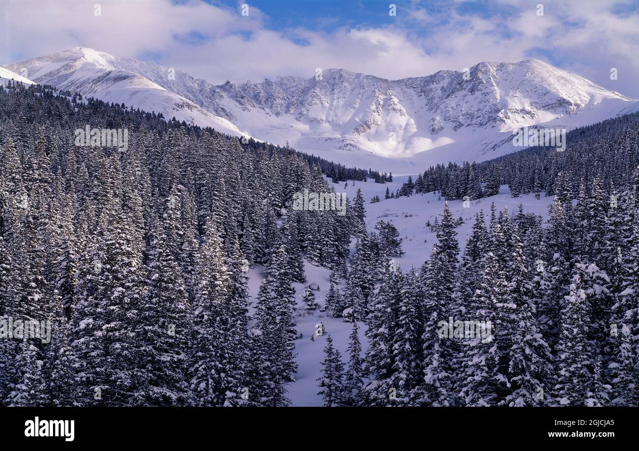 L'inverno arriva alle Montagne Rocciose del Colorado Foto Stock