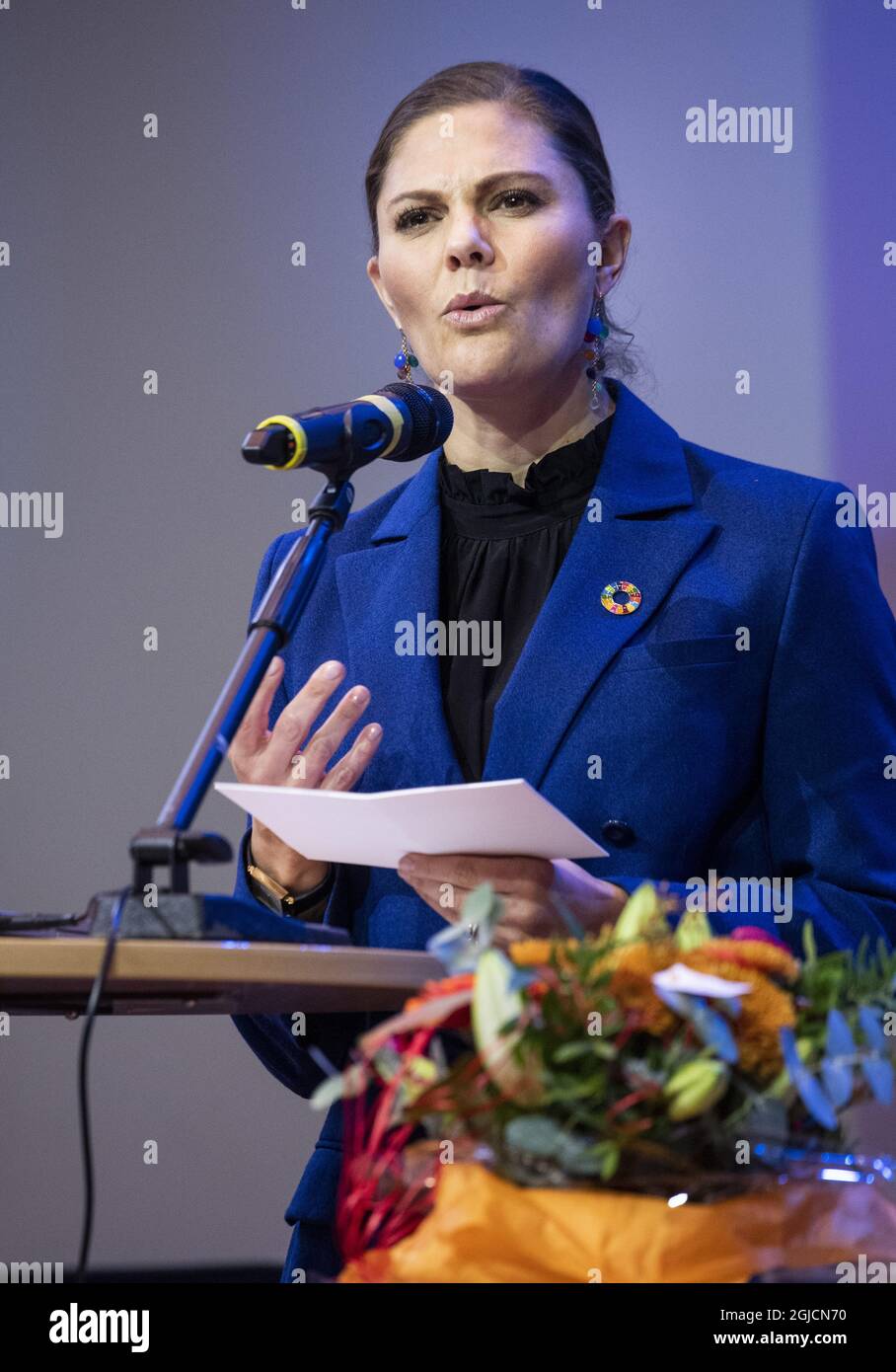 Crown Princess Victoria in occasione del 30° anniversario della fondazione Children’s Diabetes Foundation di Linkoping, Svezia, giovedì 17 ottobre 2019. Wilma ha anche dato a Victoria uno speciale cavallo di Dala che è un simbolo e sono venduti a beneficio della Children’s Diabetes Foundation Foto: Pontus Lundahl / TT / kod 10050 Foto Stock