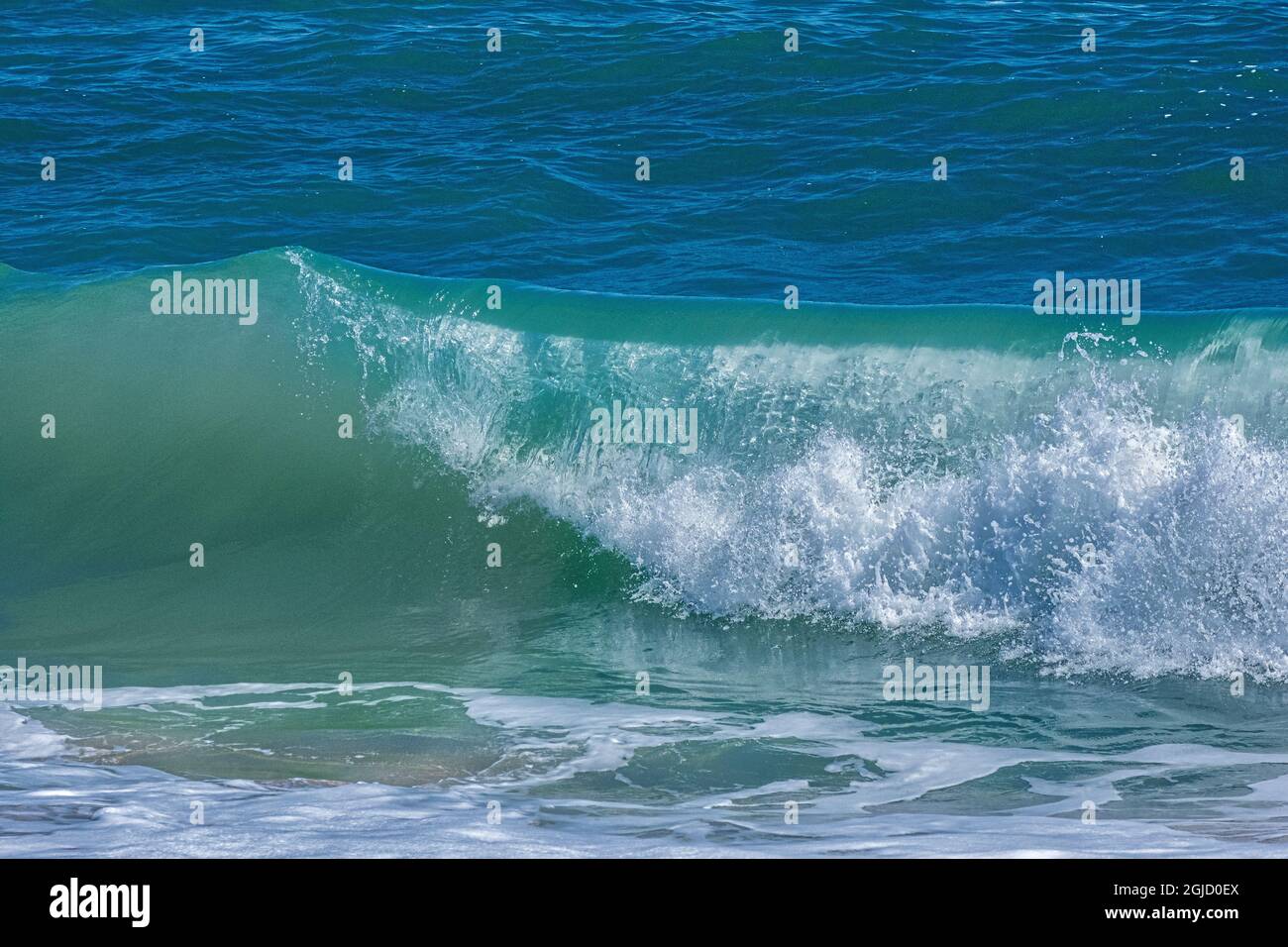 Crashing onde dell'oceano, Florida Foto Stock