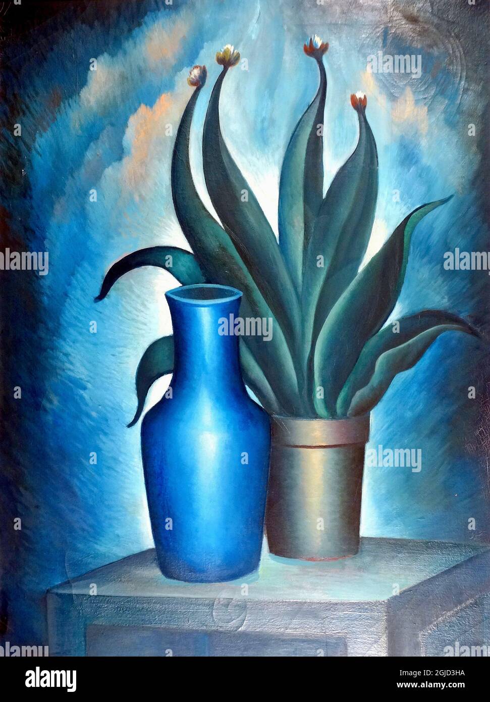Gregor Perušek artwork - Modra Vaza - Blue Vase - Still Life - Succulent casa pianta seduta accanto a un vaso blu vuoto. Foto Stock