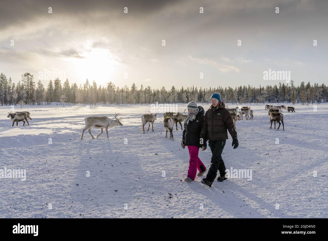 PORJUS 20200205 l'attivista svedese per il clima Greta Thunberg (L) e la locale donna lapp Sanna Vannar, visitano un sito di protezione delle renne a Projus, nel nord della Svezia, il 05 febbraio 2020. Foto: Carl-Johan Utsi / TT / code 11733 *** BETALBILD *** Foto Stock