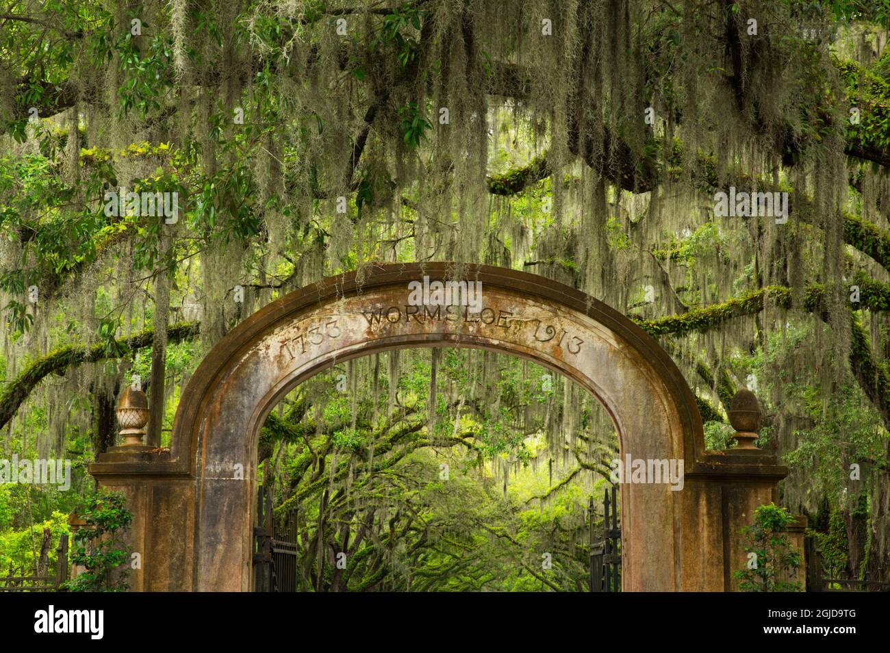 USA, Georgia, Savannah. Ingresso alla storica Wormsloe Plantation. Foto Stock