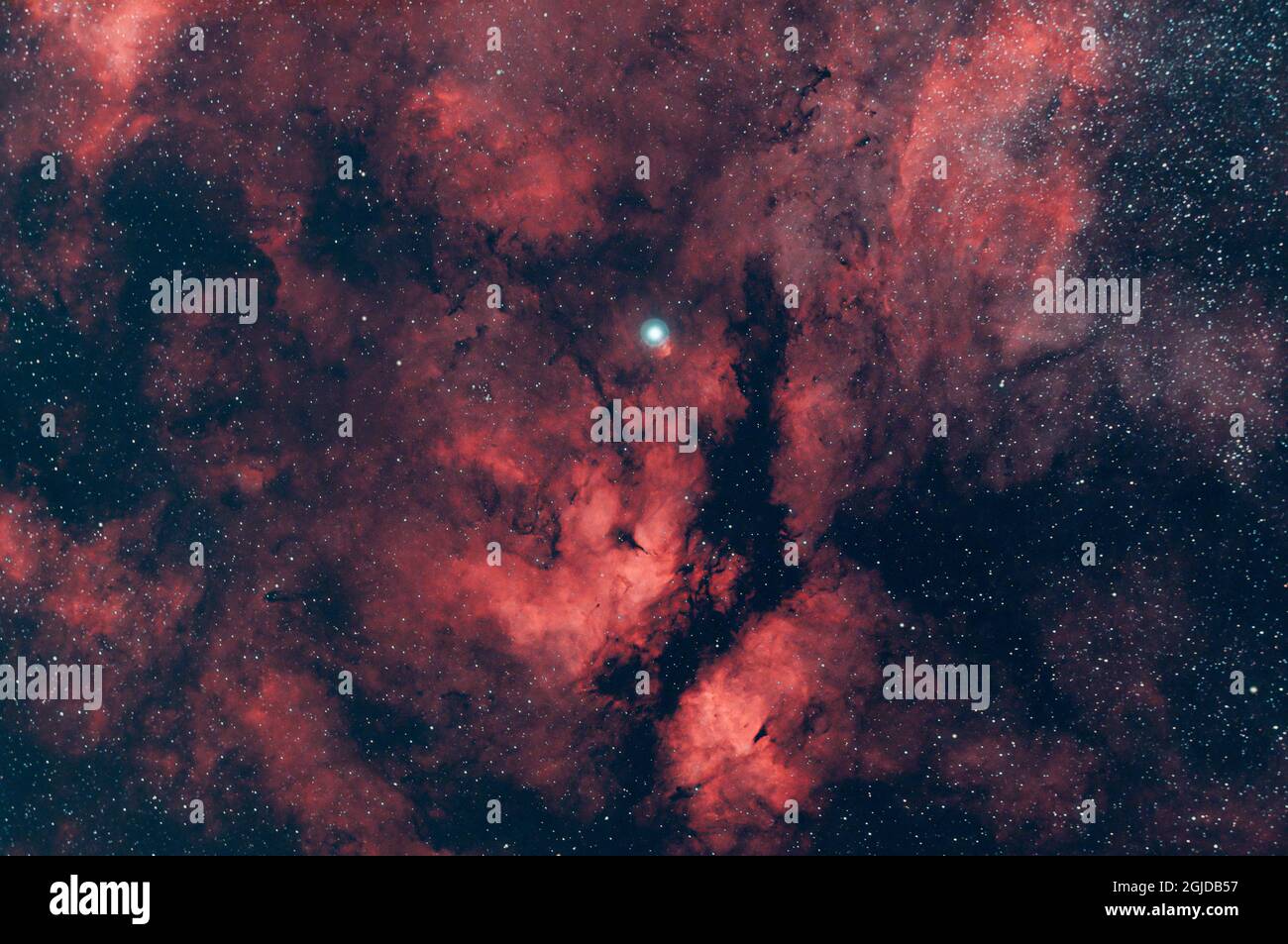 La Nebula farfalla vicino Sadr nella costellazione di Cignus Foto Stock