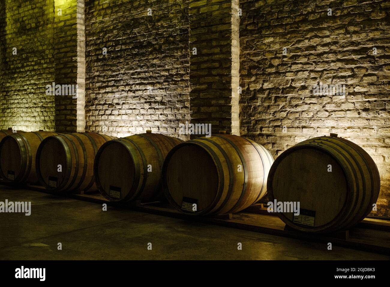 Grande cantina per la prenotazione di vini all'interno dello stato di San Paolo in Brasile Foto Stock