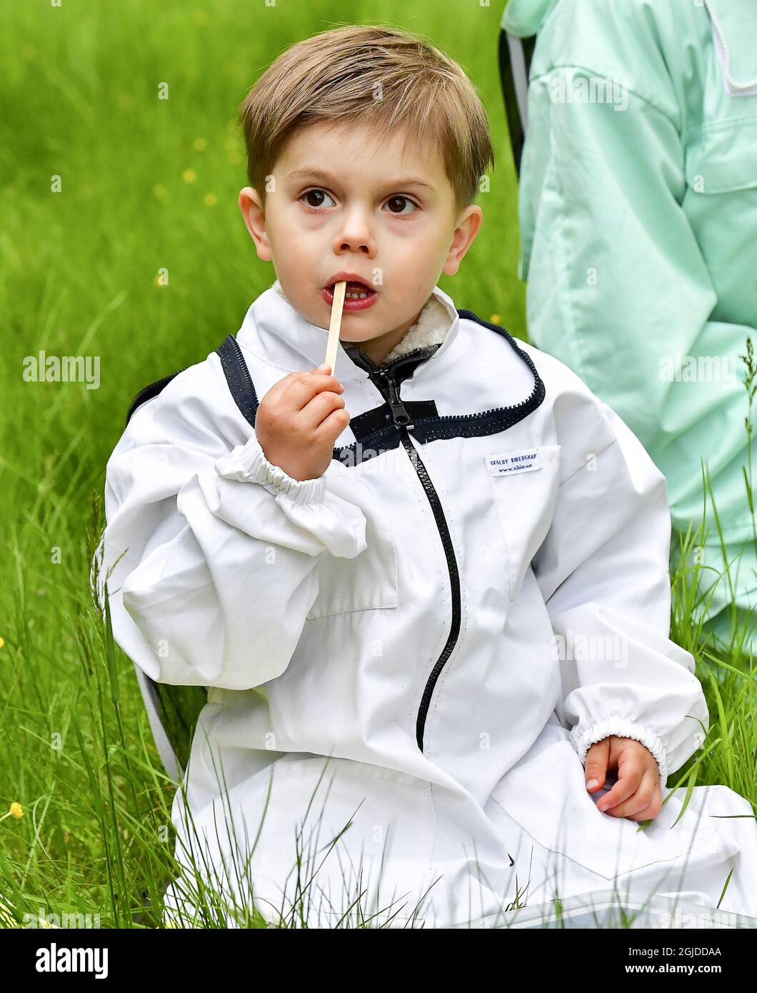 Crown Princess Victoria e Prince Oscar giocano con le pecore al castello di Haga dopo aver teso agli alveari a Stoccolma, Svezia, 19 maggio 2020. Foto: Jonas Ekstromer / TT / code 10030 Foto Stock