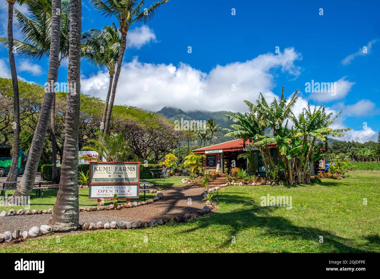 Kumu Farms, negozio di prodotti, Maui, Hawaii, USA. Foto Stock