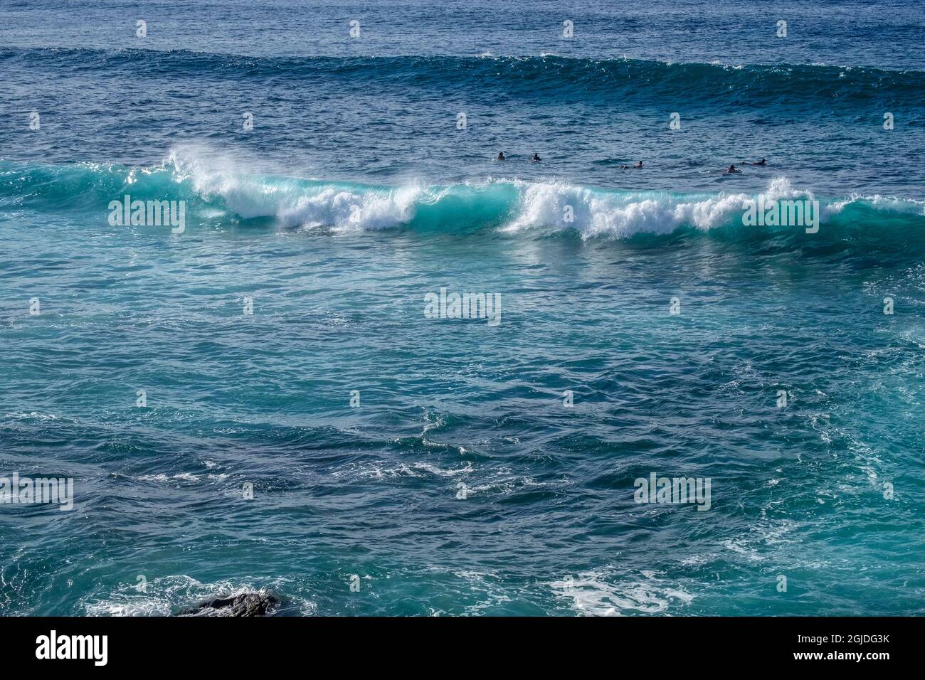 Surfers Among Waves, Hookipa Beach, Maui, Hawaii, USA. Foto Stock