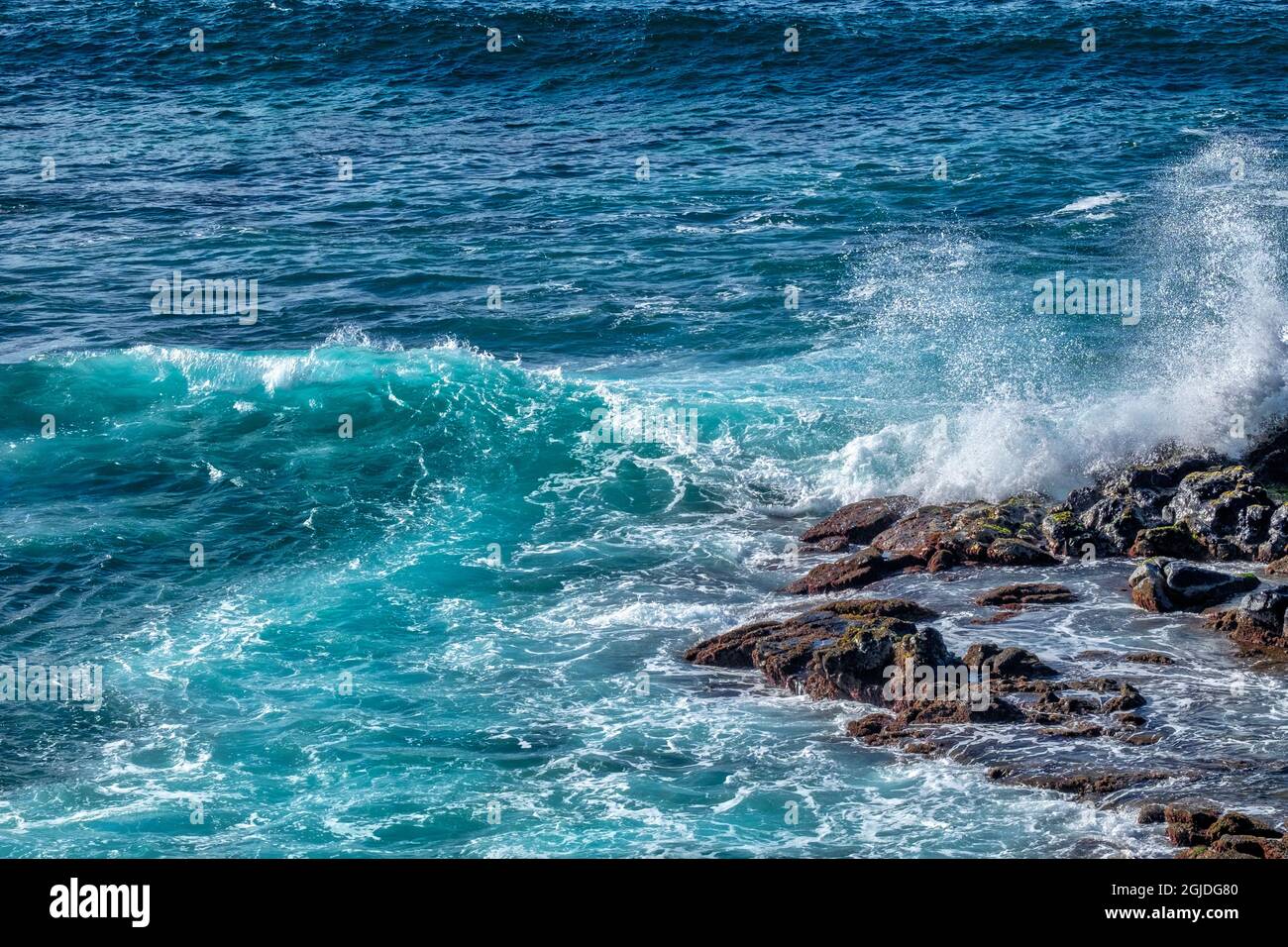 Onde che si infrangono su Hookipa Beach, Maui, Hawaii, USA. Foto Stock
