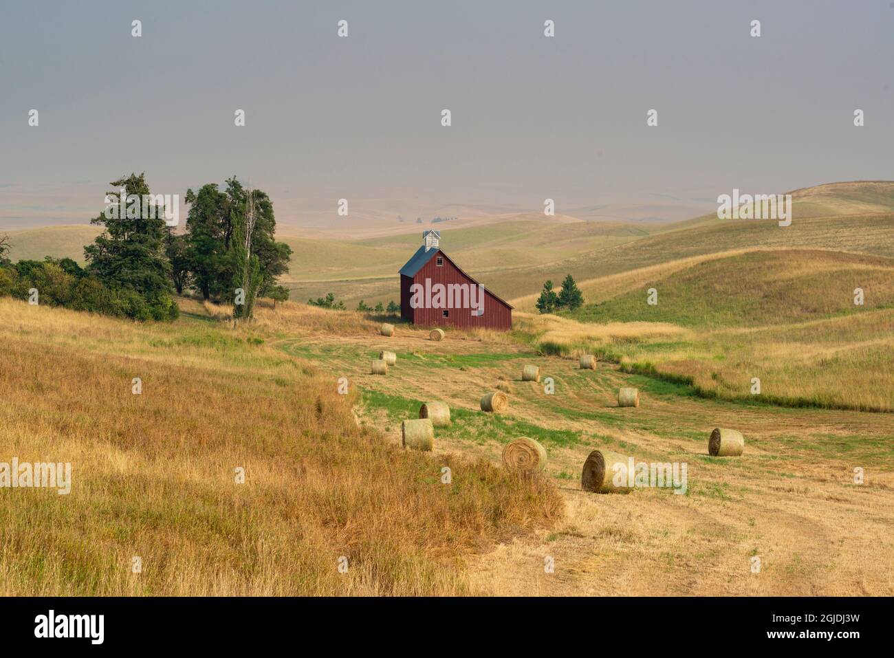 Granaio rosso e balle di grano vicino Mosca, Idaho Foto Stock