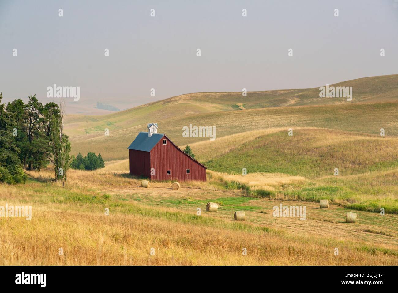Granaio rosso e balle di grano vicino Mosca, Idaho Foto Stock