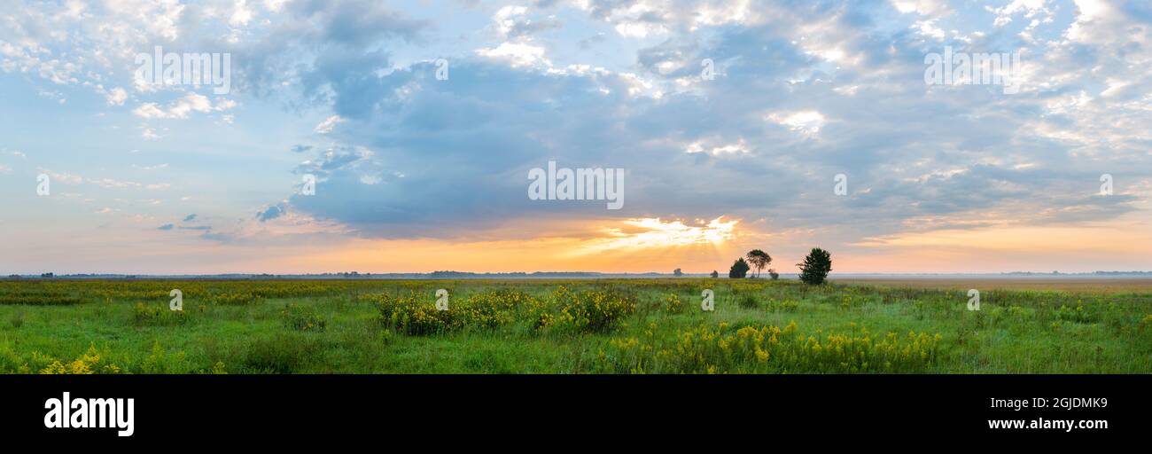 Alba sull'area naturale statale di Prairie Ridge. Marion County, Illinois, Stati Uniti. Foto Stock